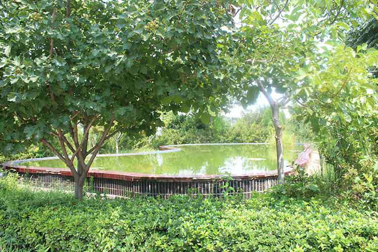 开云·官方端在线入口-开云(中国)机械厂区环境优美